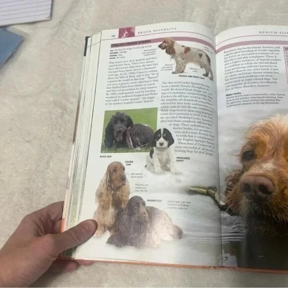 Eyewitness Companions Dogs Breeds Training Healthcare Behavior Training Book
